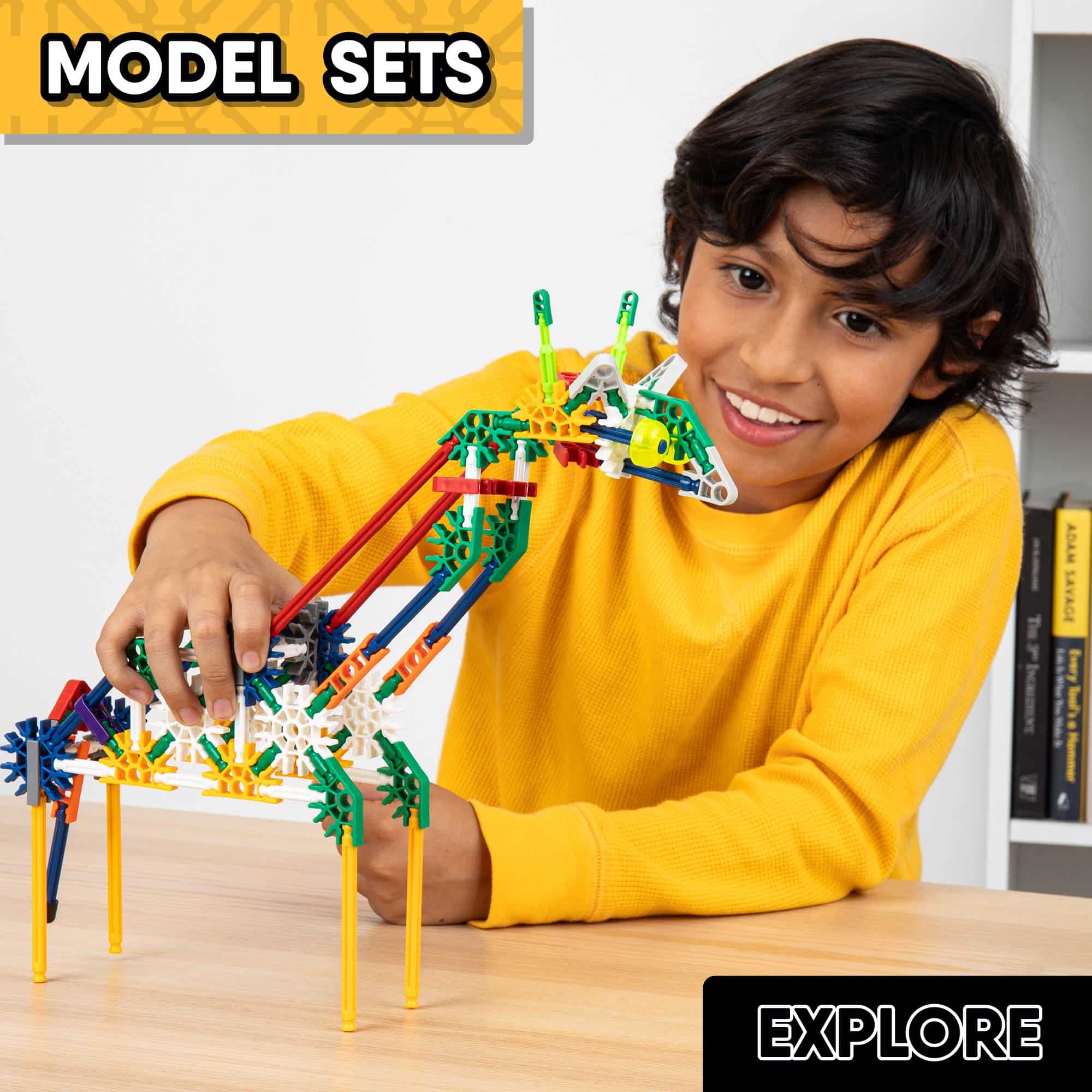 Categories Model sets LS